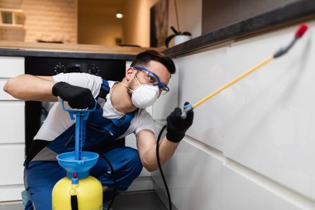 Best Local Pest Control Services  in Centerburg, OH
