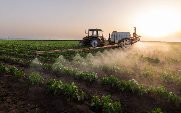 Best Commercial Pest Control Services  in Centerburg, OH