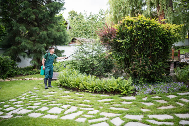 Best Wasp Removal Services  in Centerburg, OH