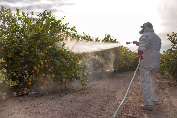 Best Wildlife Control Services  in Centerburg, OH