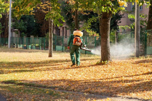 Best Mosquito Control Services  in Centerburg, OH