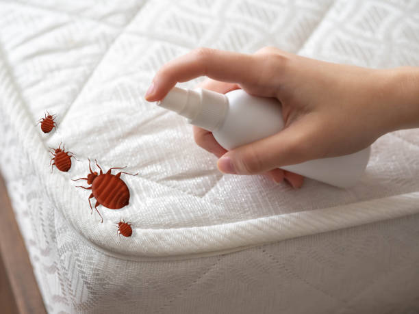 Best Best Pest Control Companies  in Centerburg, OH