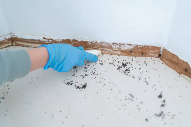 Best Pest Inspection Near Me  in Centerburg, OH
